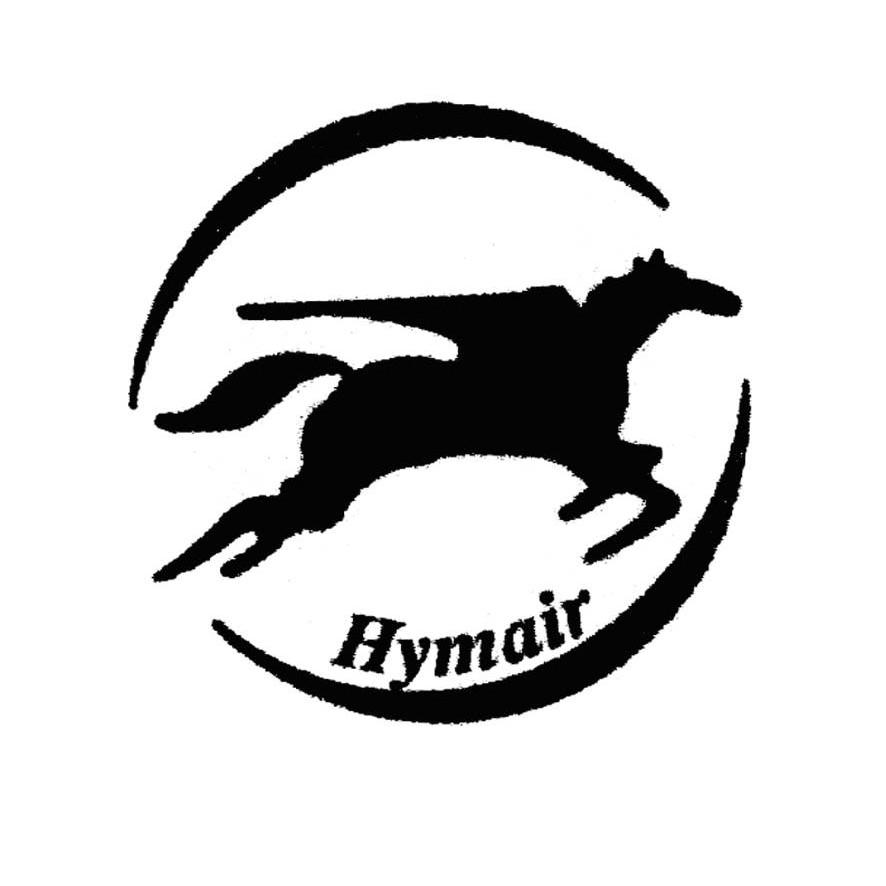 商标名称HYMAIR商标注册号 11821487、商标申请人宁波飞驹工具有限公司的商标详情 - 标库网商标查询