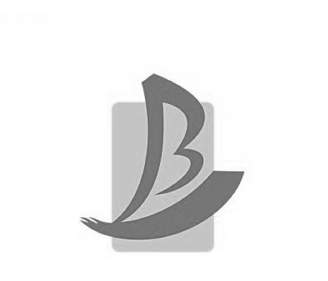 商标名称BJ商标注册号 11449336、商标申请人江苏博润医疗集团有限公司的商标详情 - 标库网商标查询