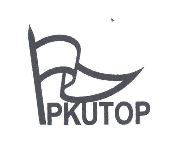 商标名称PKUTOP商标注册号 3019669、商标申请人厦门北大泰普科技发展有限公司的商标详情 - 标库网商标查询