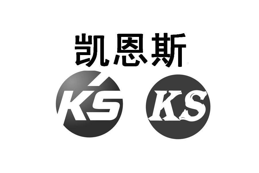 商标名称凯恩斯 KS商标注册号 10412876、商标申请人凯恩斯机械科技（江苏）有限公司的商标详情 - 标库网商标查询
