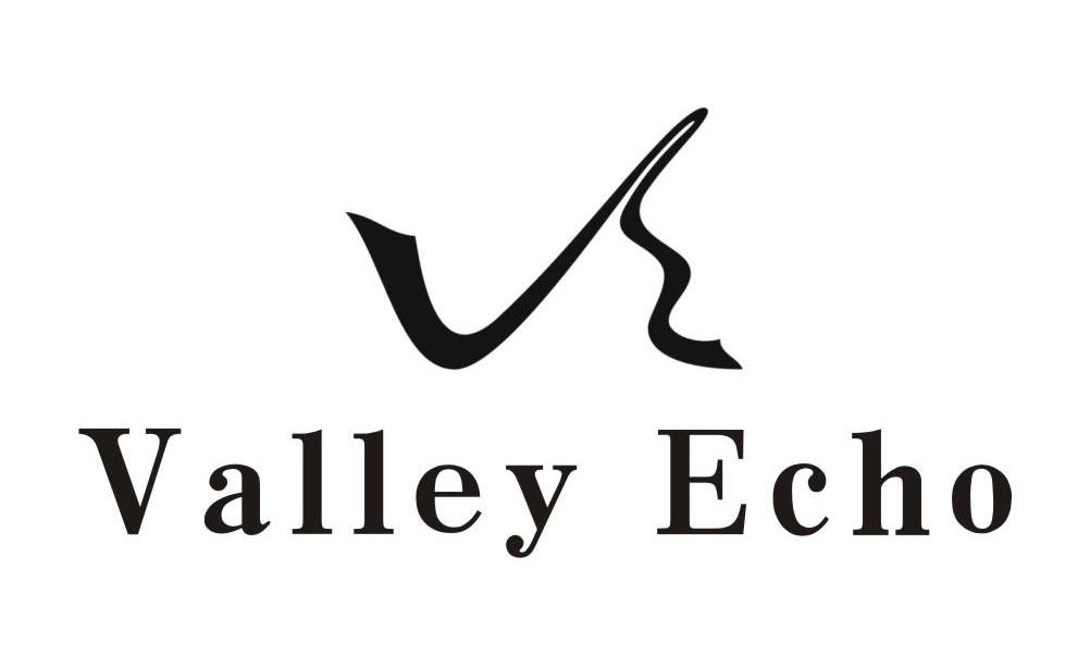 商标名称VALLEY ECHO VE商标注册号 10383213、商标申请人孙爱军的商标详情 - 标库网商标查询