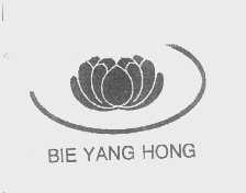 商标名称BIE YANG HONG商标注册号 1259351、商标申请人山西龙兴饮品有限公司的商标详情 - 标库网商标查询