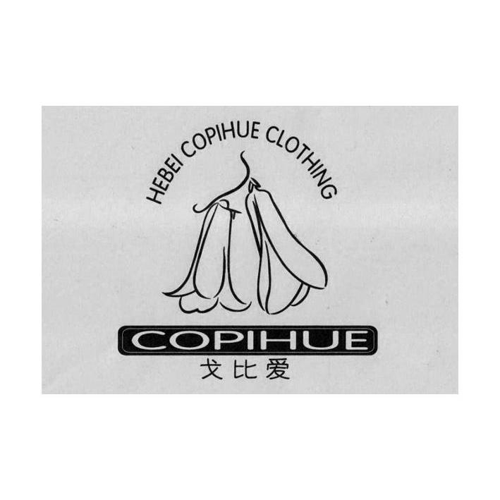 商标名称戈比爱 COPIHUE HEBEI COPIHUE CLOTHING商标注册号 13121330、商标申请人河北戈比爱服装贸易有限公司的商标详情 - 标库网商标查询