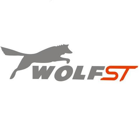商标名称WOLFST商标注册号 12497120、商标申请人丹阳市同创车辆配件有限公司的商标详情 - 标库网商标查询