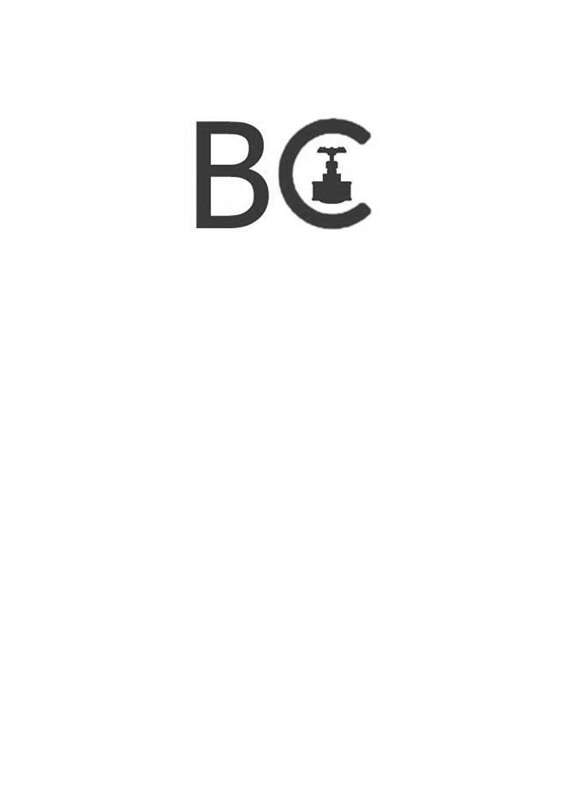 商标名称BC商标注册号 10357928、商标申请人东莞市首龙机电有限公司的商标详情 - 标库网商标查询