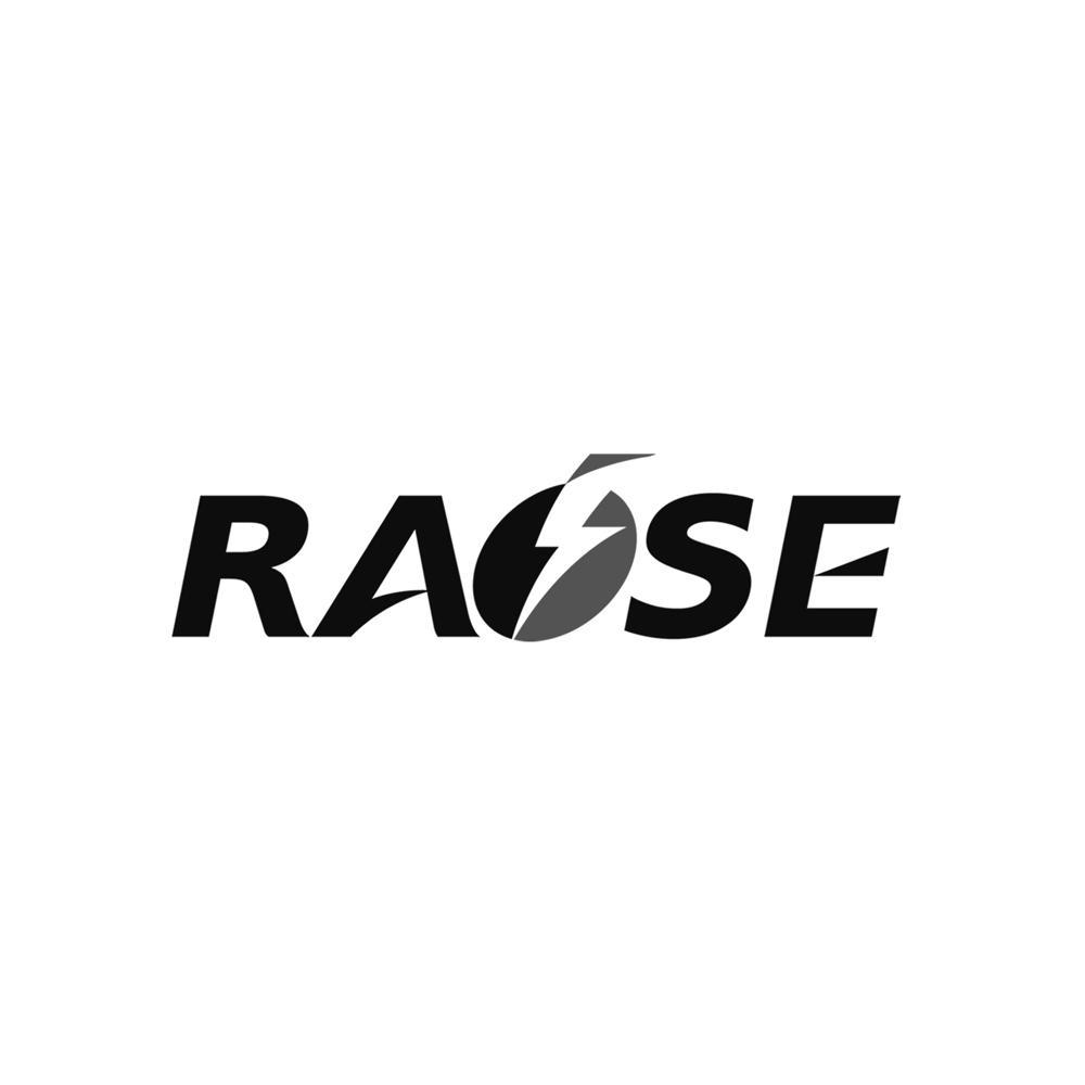 商标名称RASE商标注册号 10388027、商标申请人北京中科锐智电气有限公司的商标详情 - 标库网商标查询