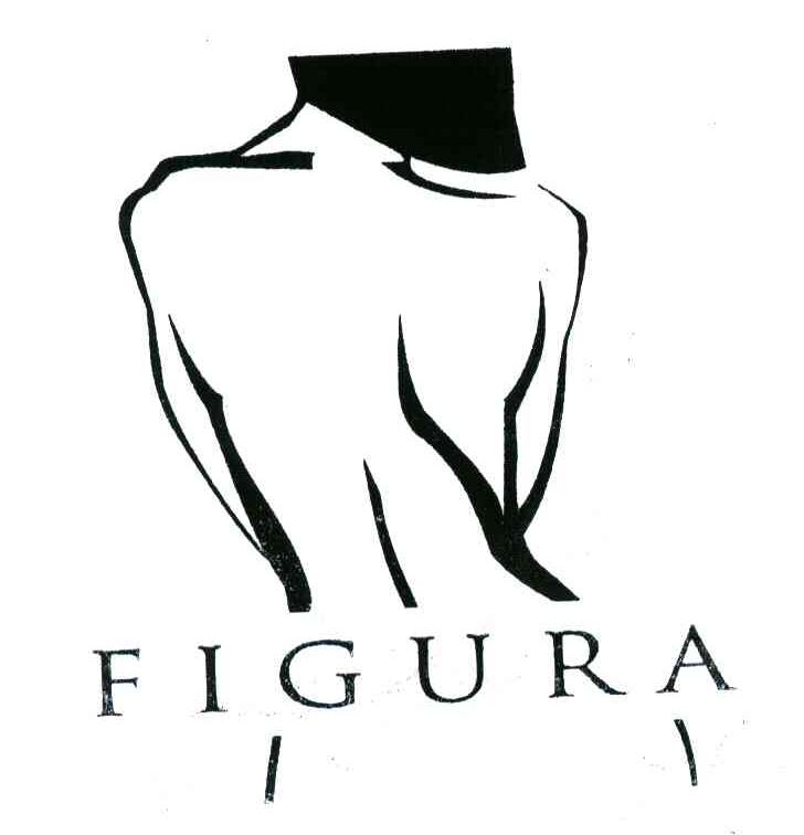 商标名称FIGURA商标注册号 6256502、商标申请人韩蕙燕D的商标详情 - 标库网商标查询
