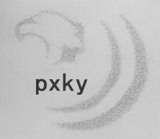 商标名称PXKY商标注册号 11317244、商标申请人青河县鹏新矿业投资有限公司的商标详情 - 标库网商标查询