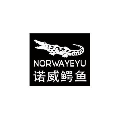 商标名称诺威鳄鱼 NORWAYEYU商标注册号 13323782、商标申请人清新上品酷服饰有限公司的商标详情 - 标库网商标查询
