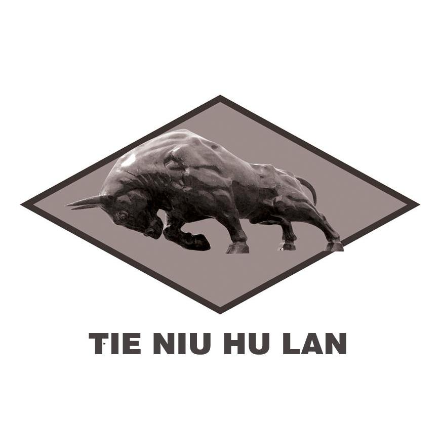 商标名称TIE NIU HU LAN商标注册号 12043830、商标申请人张家港新辉煌智能门业有限公司的商标详情 - 标库网商标查询