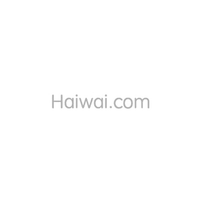 商标名称HAIWAI.COM商标注册号 18277178、商标申请人成都华媒网络科技有限公司的商标详情 - 标库网商标查询