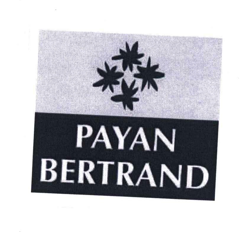 商标名称PAYAN BERTRAND商标注册号 4164747、商标申请人帕扬贝特郎股份有限公司的商标详情 - 标库网商标查询