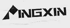 商标名称MING XIN商标注册号 1027997、商标申请人安徽亚普竹业有限公司的商标详情 - 标库网商标查询