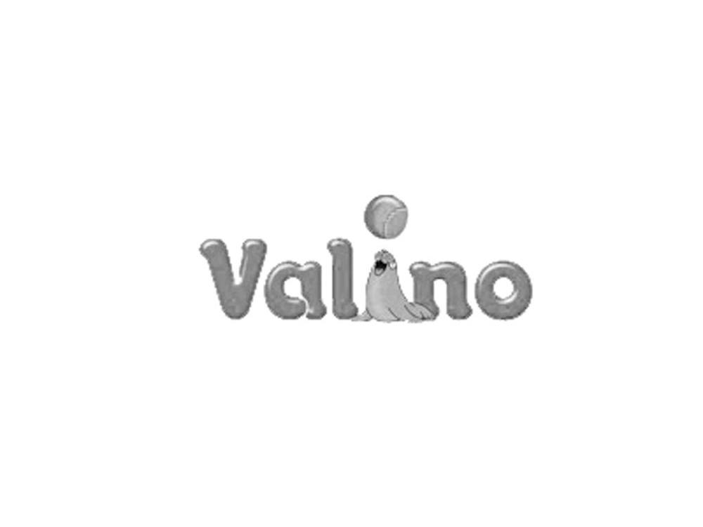 商标名称VALINO商标注册号 10136352、商标申请人上海玛芮宝国际贸易有限公司的商标详情 - 标库网商标查询