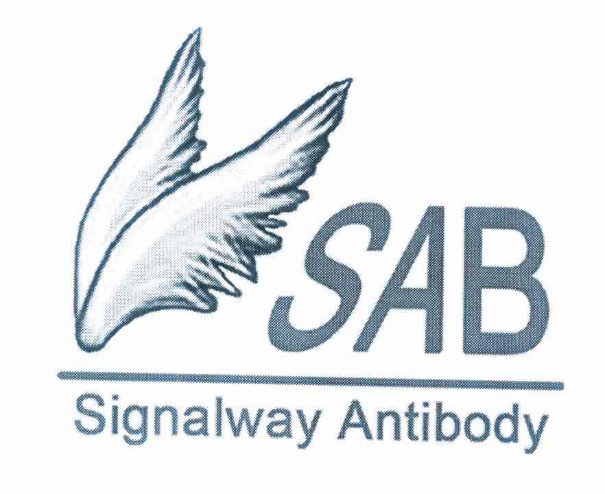 商标名称SAB SIGNALWAY ANTIBODY商标注册号 10049547、商标申请人南京川博生物技术有限公司的商标详情 - 标库网商标查询