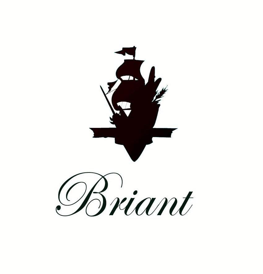 商标名称BRIANT商标注册号 11026852、商标申请人上海绮华投资有限公司的商标详情 - 标库网商标查询