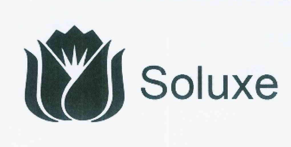 商标名称SOLUXE商标注册号 11795005、商标申请人中国石油天然气集团有限公司的商标详情 - 标库网商标查询