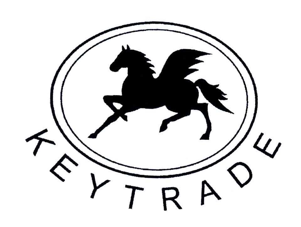 商标名称KEYTRADE商标注册号 4692775、商标申请人瑞士金键国际贸易公司的商标详情 - 标库网商标查询