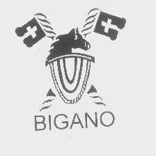 商标名称BIGANO商标注册号 1275597、商标申请人钲豪企业有发公司的商标详情 - 标库网商标查询