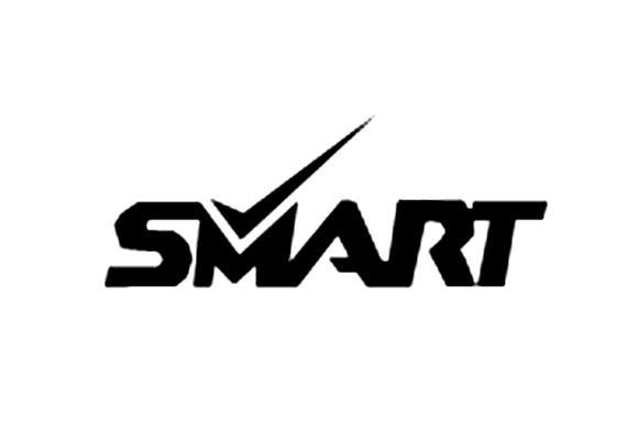 商标名称SMART商标注册号 10017004、商标申请人意大利乔治亚国际集团有限公司的商标详情 - 标库网商标查询