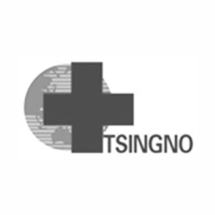 商标名称TSINGNO商标注册号 14040498、商标申请人无锡清诺环境工程有限公司的商标详情 - 标库网商标查询