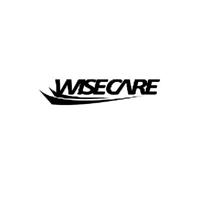 商标名称WISECARE商标注册号 14683547、商标申请人佛山市睿康医疗用品有限公司的商标详情 - 标库网商标查询