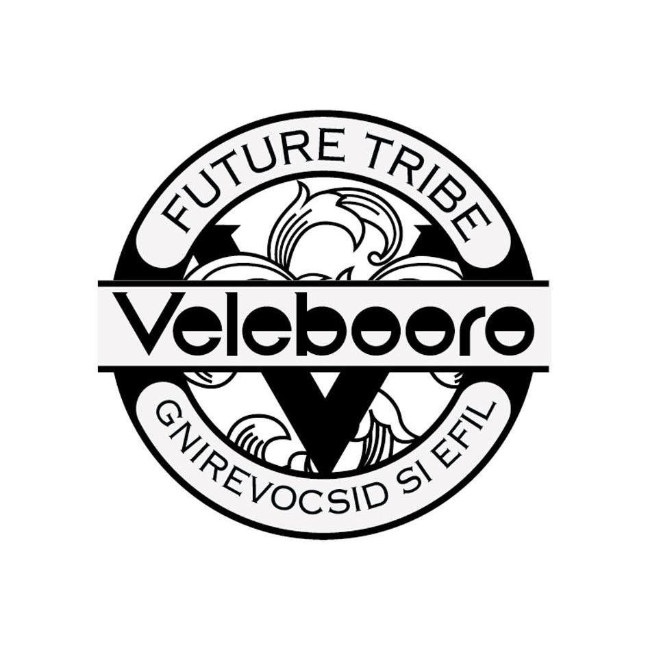 商标名称VELEBOORO FUTURE TRIBE GNIREVOCSID SI EFIL V商标注册号 10556876、商标申请人未来部落（福建）科技有限公司的商标详情 - 标库网商标查询