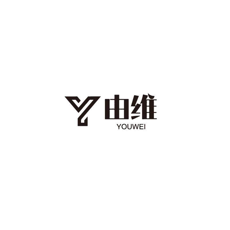 由维 Y