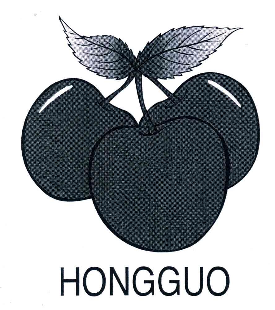 商标名称HONG GUO商标注册号 4023270、商标申请人张家港市飞鹅乳胶制品有限公司的商标详情 - 标库网商标查询