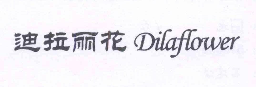 DILAFLOWER 迪拉丽花