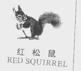 商标名称红松鼠   RED SQUIRREL商标注册号 1252792、商标申请人广州市荔湾区鸿智鞋业店的商标详情 - 标库网商标查询