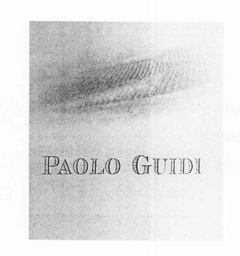商标名称PAOLO GUIDI商标注册号 10367538、商标申请人萨迪拉诺酒庄有限公司的商标详情 - 标库网商标查询