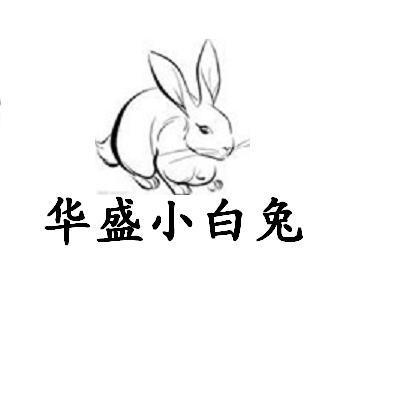 商标名称华盛小白兔商标注册号 10225161、商标申请人上海华盛纺织品有限公司的商标详情 - 标库网商标查询