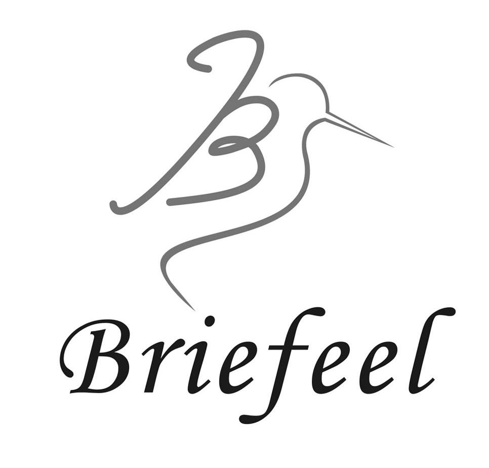 商标名称BRIEFEEL B商标注册号 11412552、商标申请人广州天河简单休闲服饰店的商标详情 - 标库网商标查询