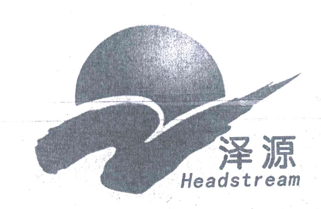 商标名称泽源;HEADSTREAM商标注册号 5397242、商标申请人王兴国的商标详情 - 标库网商标查询