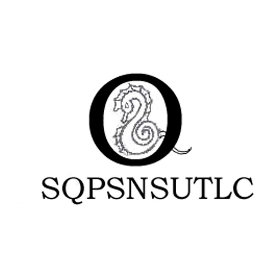 商标名称SQPSNSUTLC商标注册号 9501286、商标申请人北京百达永利服装服饰有限公司的商标详情 - 标库网商标查询
