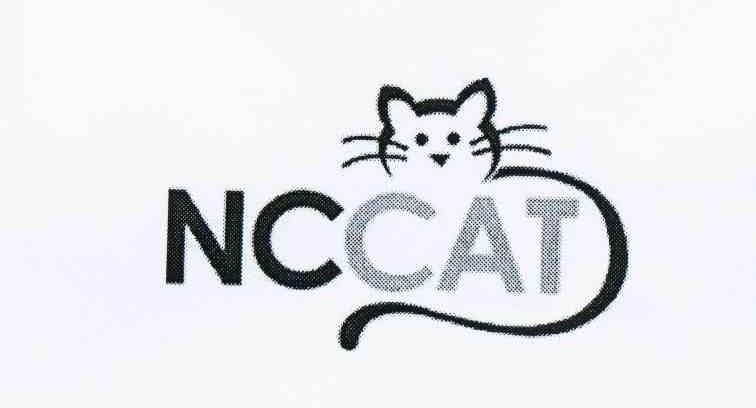 商标名称NCCAT商标注册号 10425459、商标申请人蔡建伟的商标详情 - 标库网商标查询