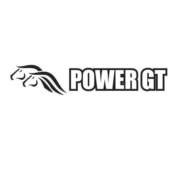 商标名称POWER GT商标注册号 10453197、商标申请人菲尔斯综合贸易公司的商标详情 - 标库网商标查询