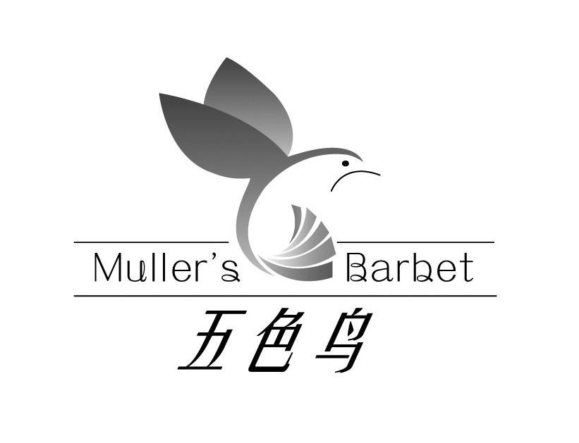 商标名称五色鸟 MULLER'S BARBET商标注册号 10131521、商标申请人上海伊贝丝美容有限公司的商标详情 - 标库网商标查询