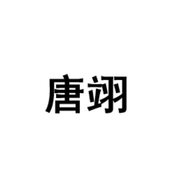 商标文字唐翊商标注册号 58043217,商标申请人唐山智盟科技有限公司的