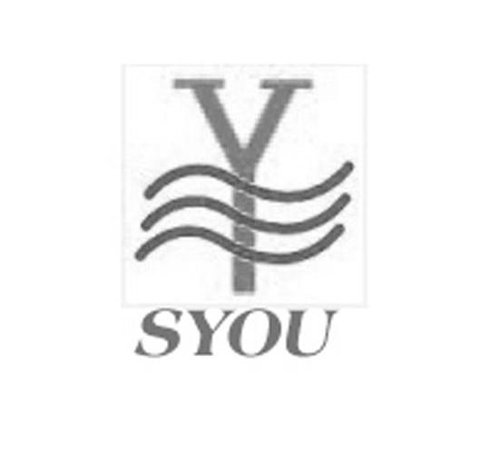 商标名称SYOU商标注册号 10463653、商标申请人聊城市盛源水处理助剂有限公司的商标详情 - 标库网商标查询