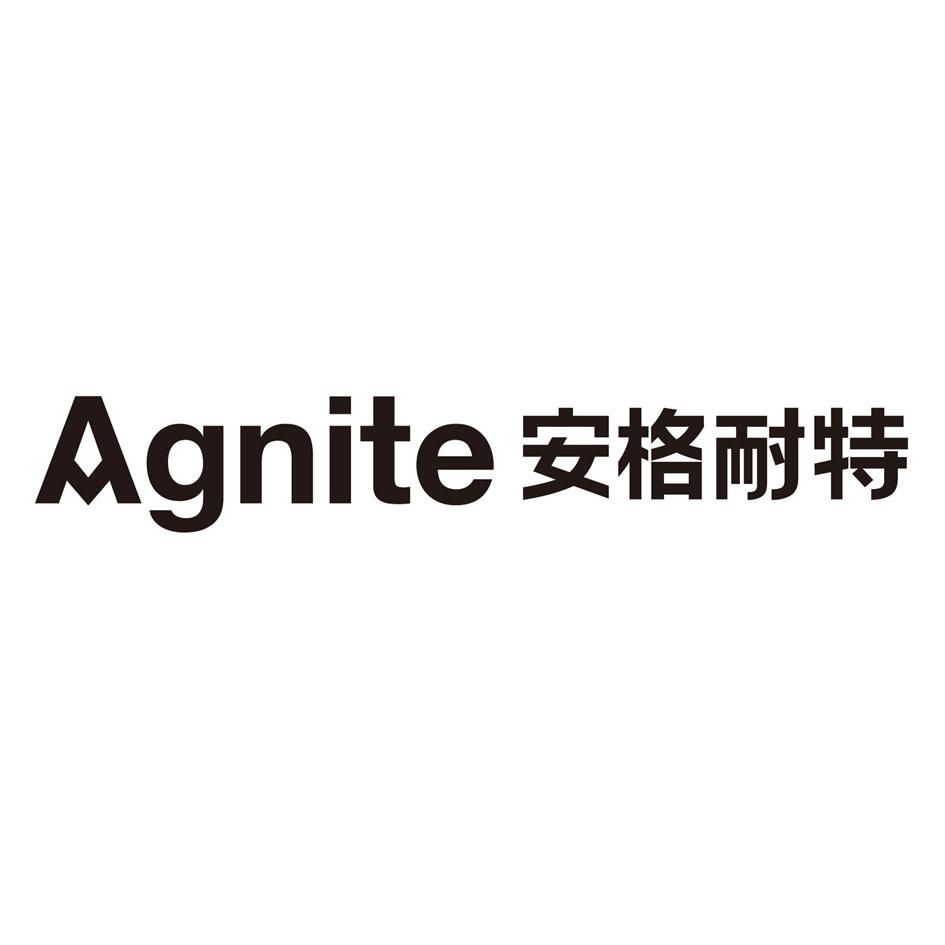 商标文字agnite 安格耐特商标注册号 50780047,商标申请人得力集团