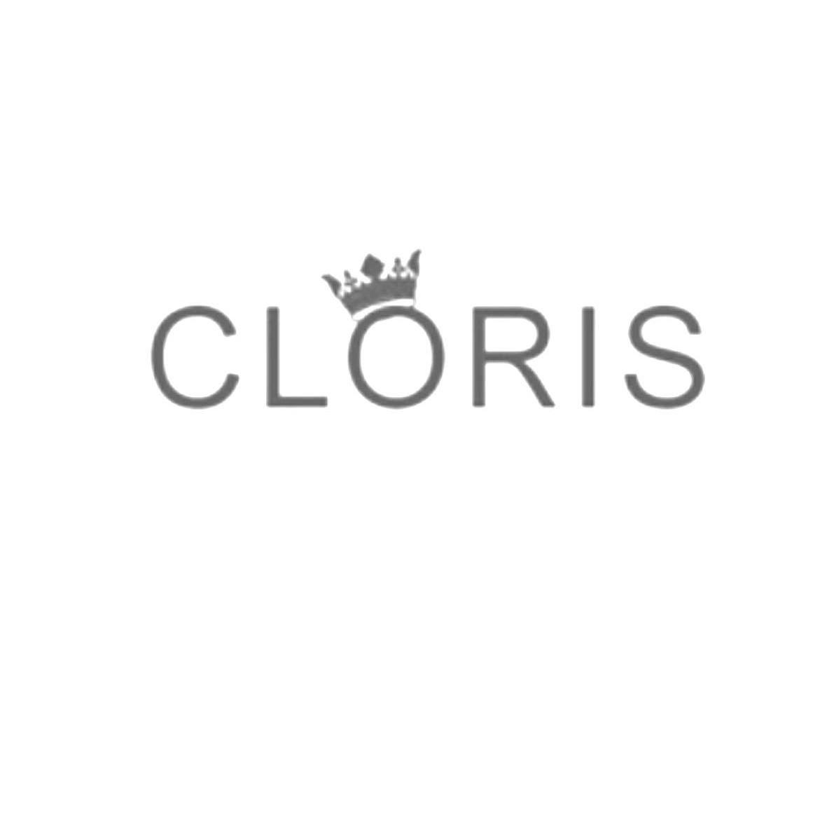 商标名称CLORIS商标注册号 10121985、商标申请人东莞市盈晖服装有限公司的商标详情 - 标库网商标查询