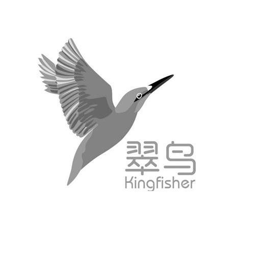 商标名称翠鸟 KINGFISHER商标注册号 13786953、商标申请人杭州翠鸟环保有限公司的商标详情 - 标库网商标查询