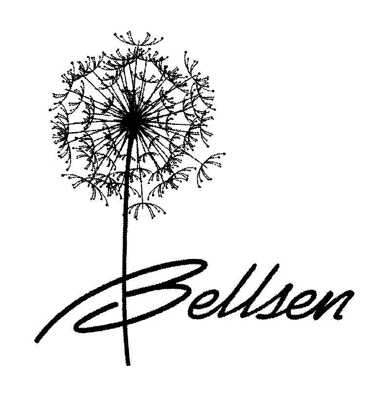 商标名称BELLSEN商标注册号 10123972、商标申请人宁波贝儿森孕婴用品有限公司的商标详情 - 标库网商标查询