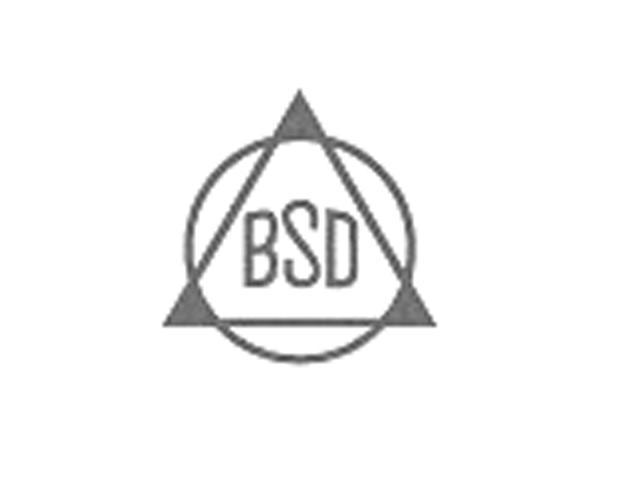 商标名称BSD商标注册号 10452504、商标申请人德国毕士德有限公司的商标详情 - 标库网商标查询