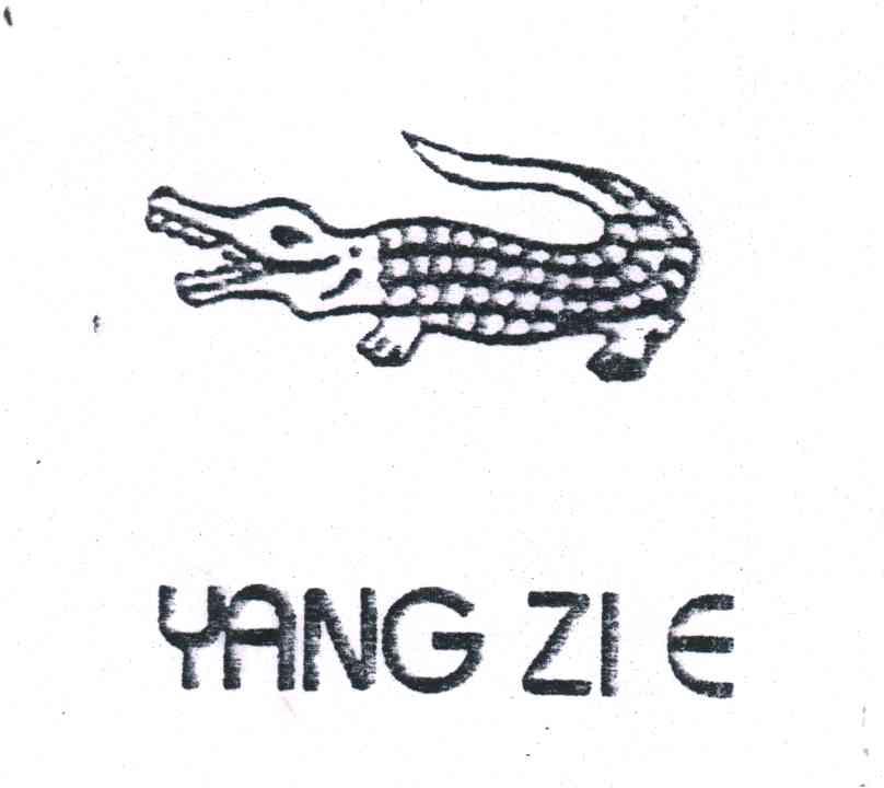 商标名称YANG ZI E商标注册号 3000245、商标申请人福建省石狮市钞坑信荣五金厂的商标详情 - 标库网商标查询
