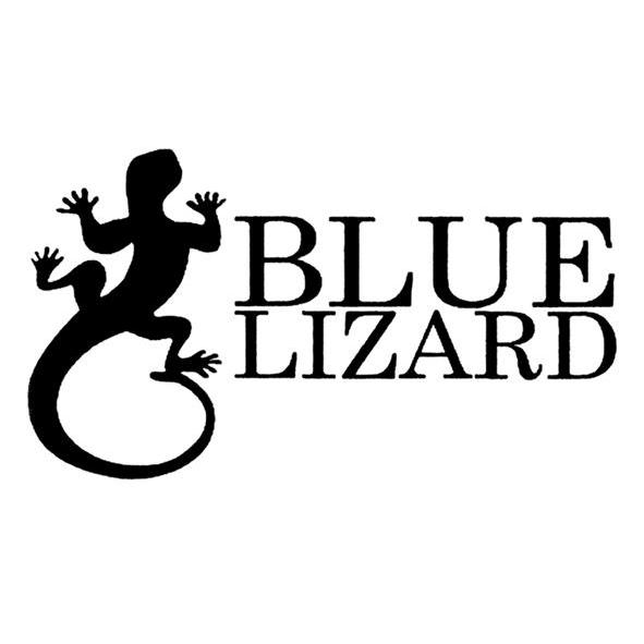 商标名称BLUE LIZARD商标注册号 9811579、商标申请人北京初雨信泽贸易有限公司的商标详情 - 标库网商标查询