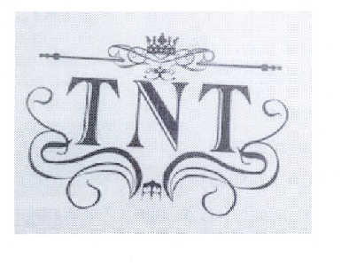 商标名称TNT商标注册号 14456509、商标申请人廖一琴的商标详情 - 标库网商标查询