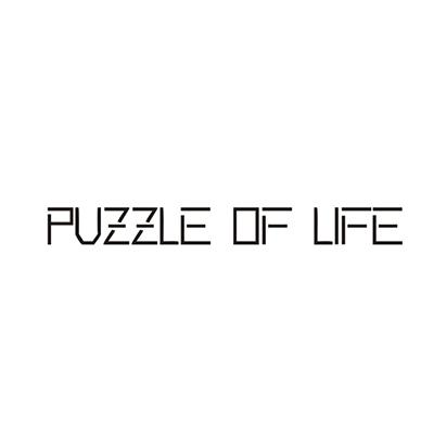PUZZLE OF LIFE